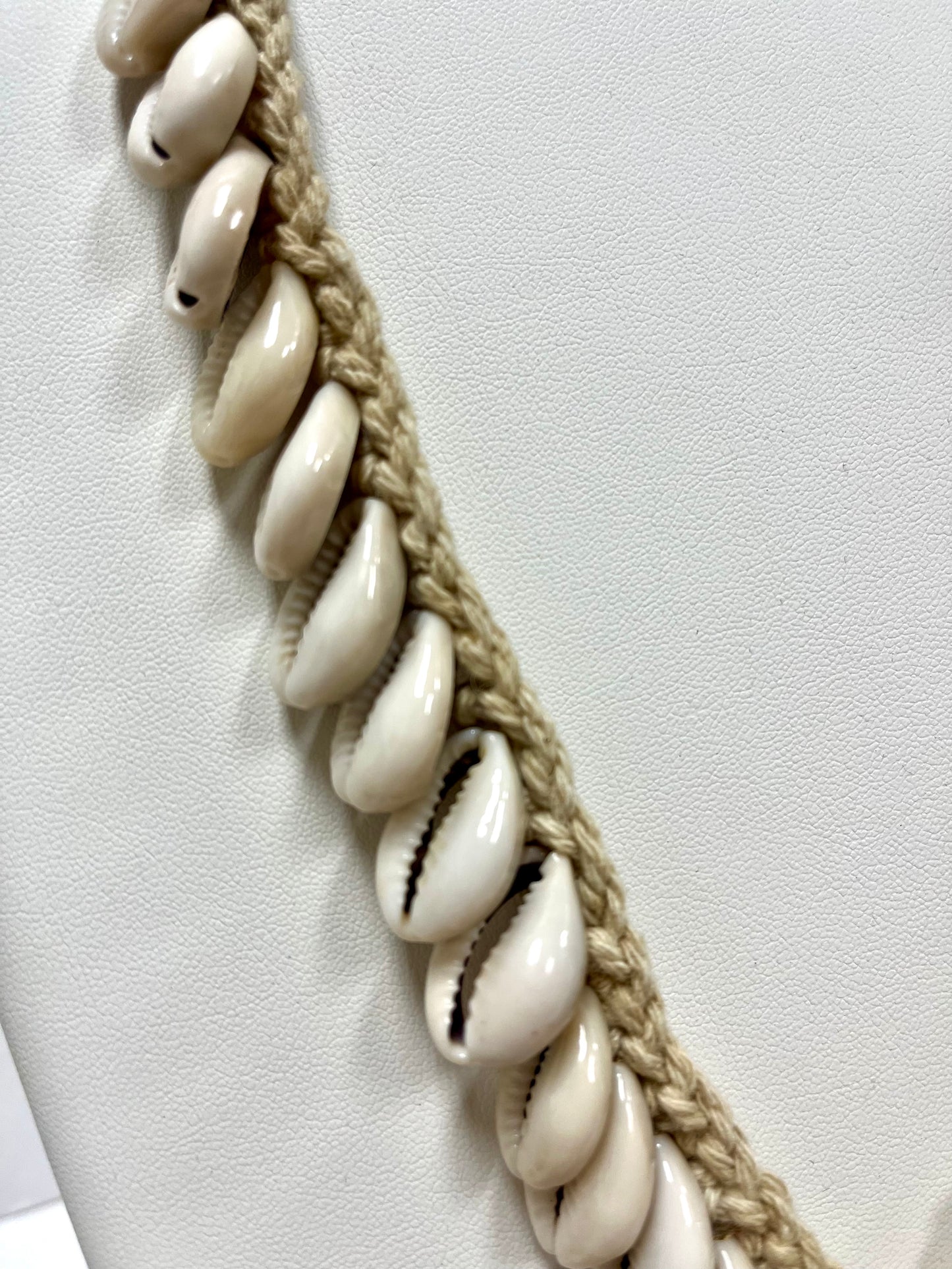 Unique Large Cotton Cowry Shell Necklace