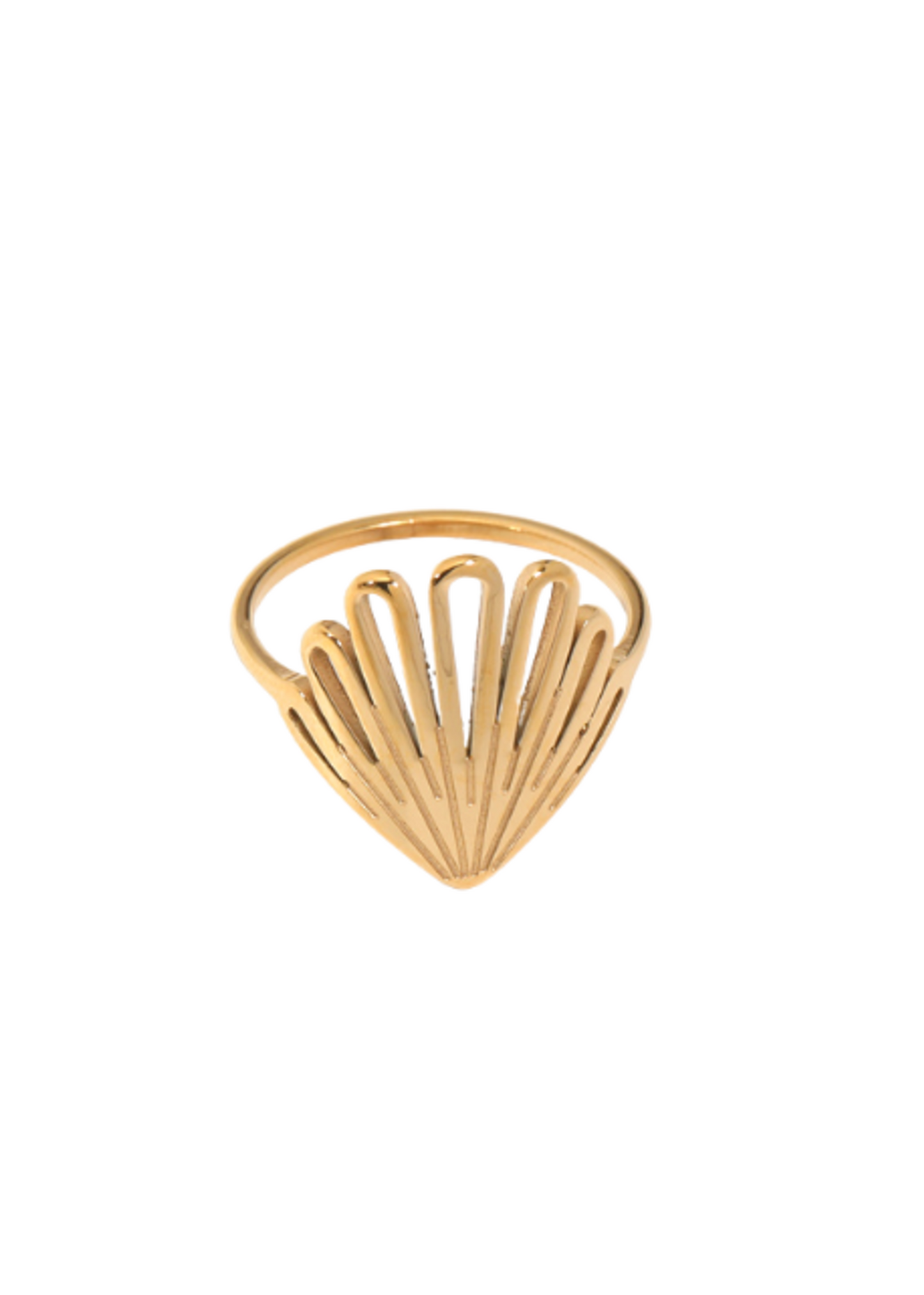 Shelly Ring